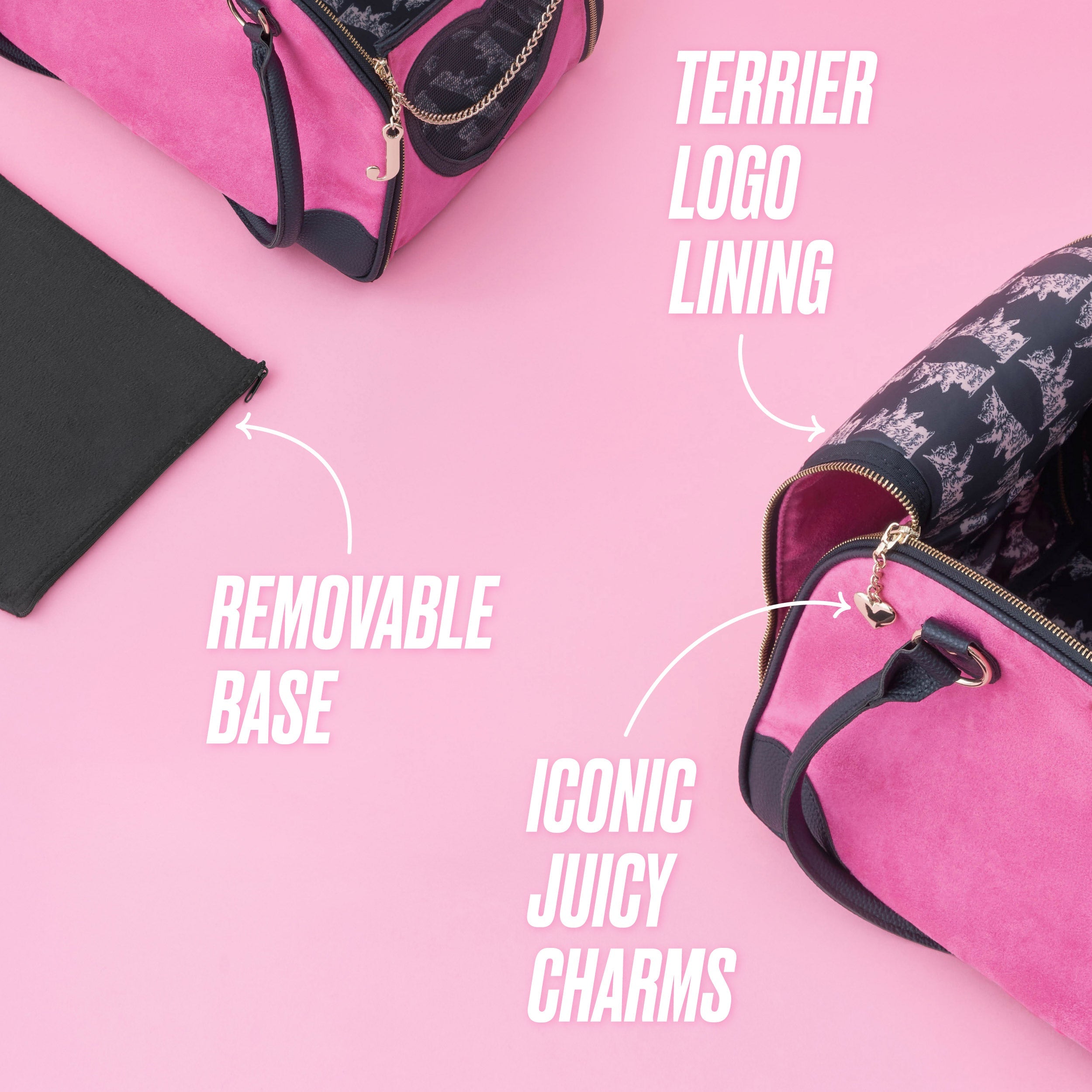 Pet Carrier - Image 4