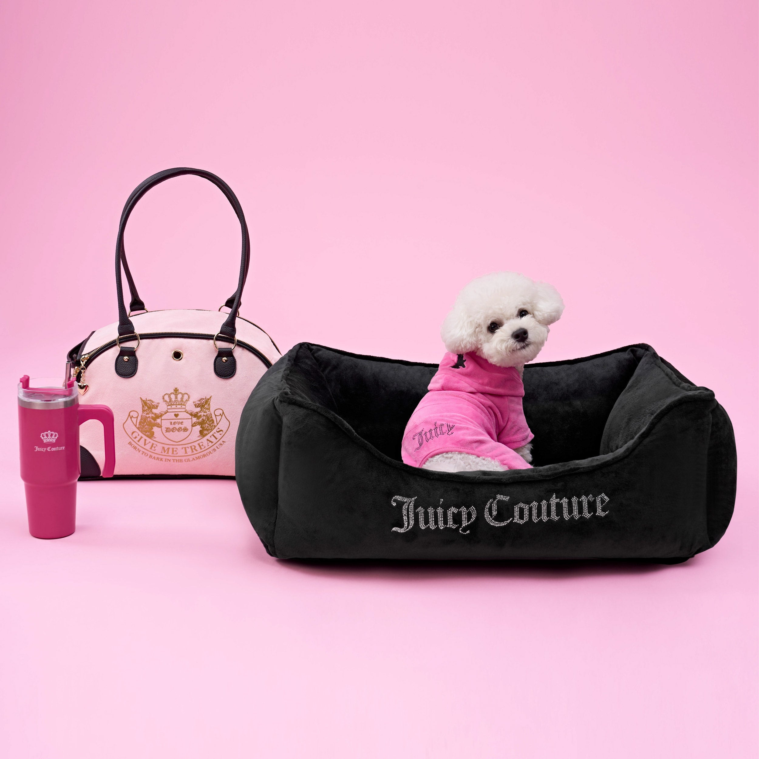 Pet Carrier - Image 8