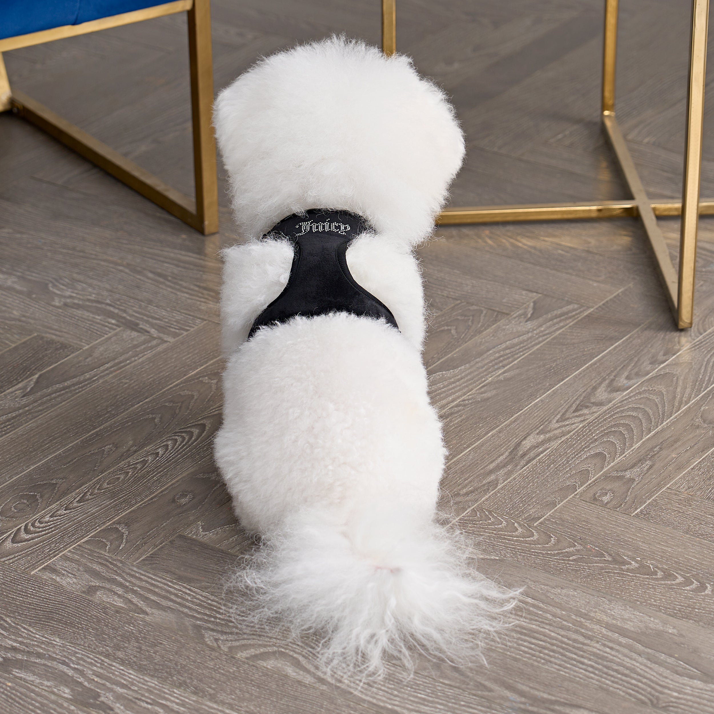 Bling Velour Pet Harness and Leash Set - Image 2